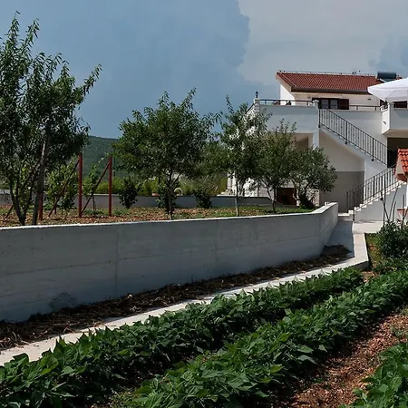 Vinea וילה Prapatnica