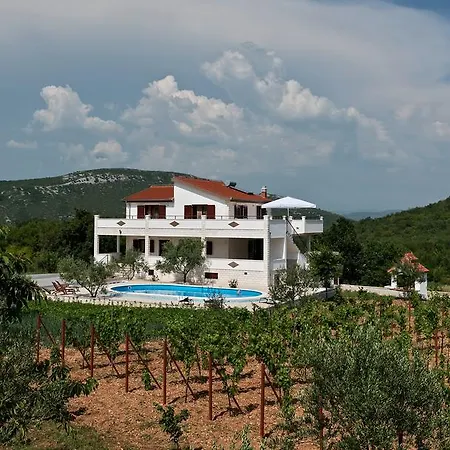 Vinea Prapatnica